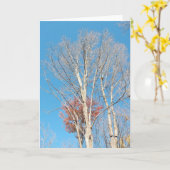 不毛の木 カード (黄色い花)