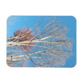 不毛の木 マグネット (横)