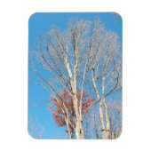 不毛の木 マグネット (縦)