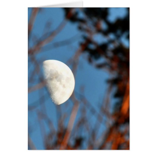 不毛の枝を通る半月 (正面)