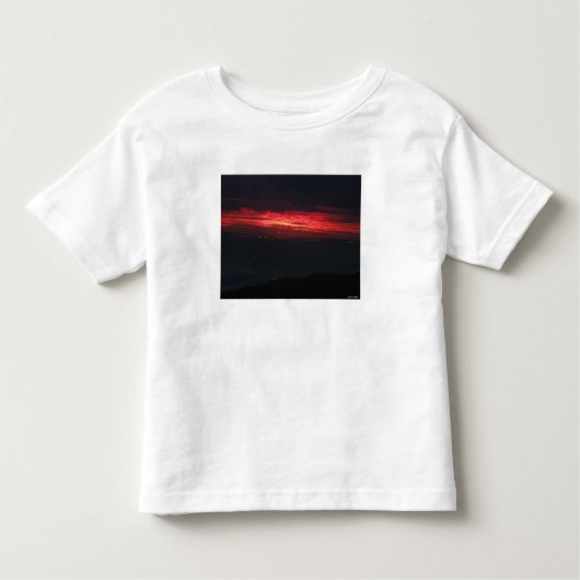 不気味だが美しい夕日 トドラーTシャツ (正面)