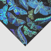 不気味で黒く青い蝶およびガのティッシュペーパー 薄葉紙 (詳細)