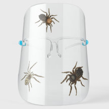 不気味なクモのハロウィーン