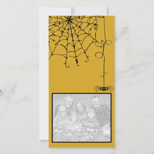 不気味なクモ (正面)