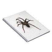 不気味なクモ ノートブック (右側)
