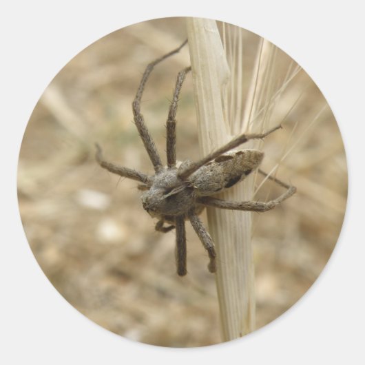 不気味なクロウスパイダースティッカー ラウンドシール (正面)