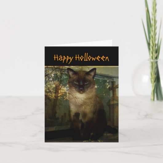 不気味なシャム猫のハロウィン グリーティングカード (正面)