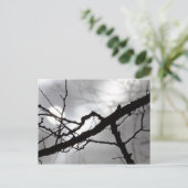 不気味なハロウィーンシルエットブランチ霧と太陽 ポストカード (スタンド正面)