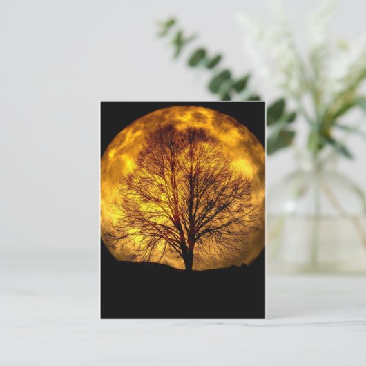 不気味な夜の月と木の秋の運命の贈り物 ポストカード (スタンド正面)