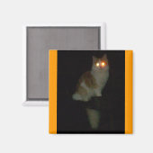 不気味な子猫 マグネット (正面/裏面)