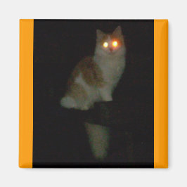 不気味な子猫 マグネット