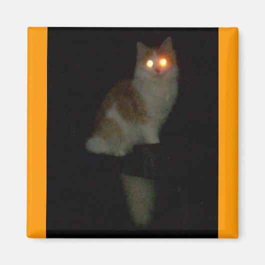 不気味な子猫 マグネット (正面)