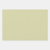 不気味な日ハロウィーンの魔女スケルトンを持っている ラッピングペーパーシート (正面2)