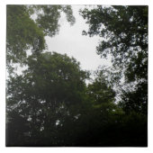 不気味な森のタイル タイル (正面)