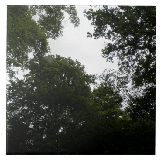 不気味な森のタイル タイル (正面)