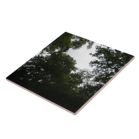 不気味な森のタイル タイル (側面)