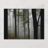 不気味な森の木々葉のフル紅葉 ポストカード (正面)
