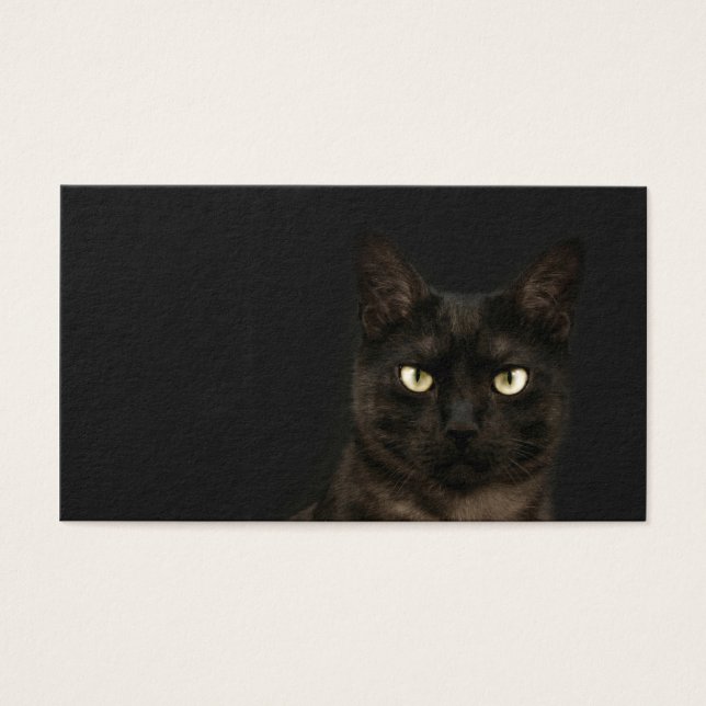 不気味な猫のプロファイルカード (正面)