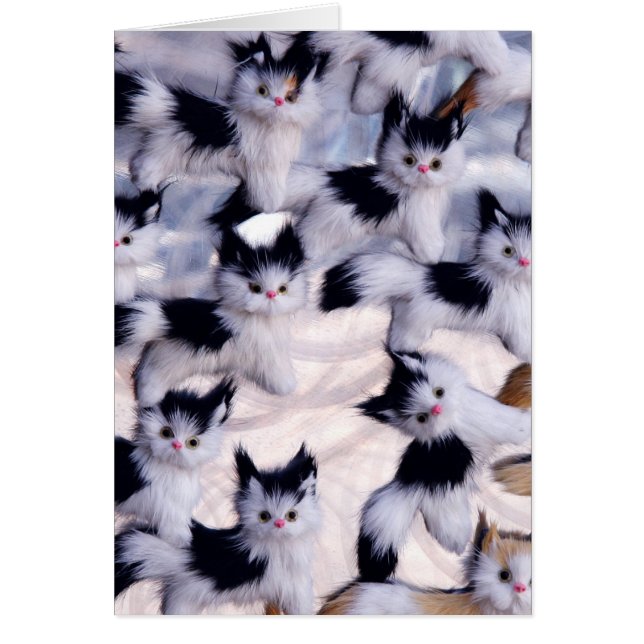 不気味な猫 (正面)