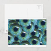 不気味な眼球 ポストカード (正面/裏面)