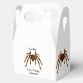 不気味な茶色とオレンジ色のタランチュラのクモの漫画 フェイバーボックス (オープン)