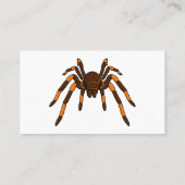 不気味な茶色とオレンジ色のタランチュラのクモの漫画 名刺 (裏面)
