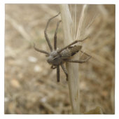 不気味な這い上がったクモのタイル タイル (正面)