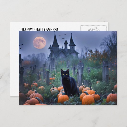 不気味ハ幽霊のよく出るウス黒猫カボチャ シーズンポストカード (正面/裏面)