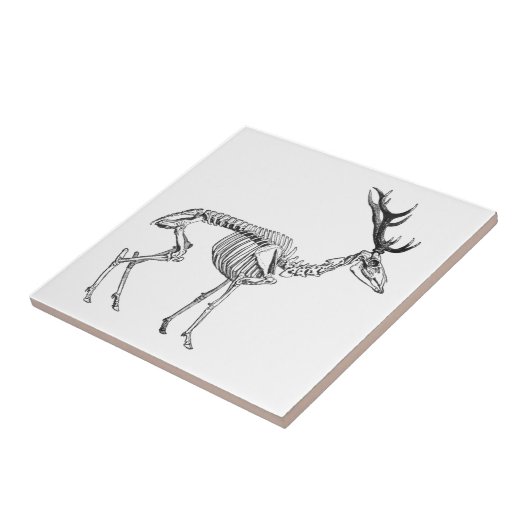 不気味ヴィンテージ骨格トナカイスケッチ タイル (側面)