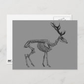 不気味ヴィンテージ骨格トナカイスケッチ ポストカード (正面/裏面)