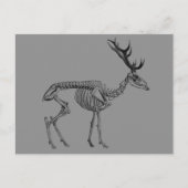 不気味ヴィンテージ骨格トナカイスケッチ ポストカード (正面)