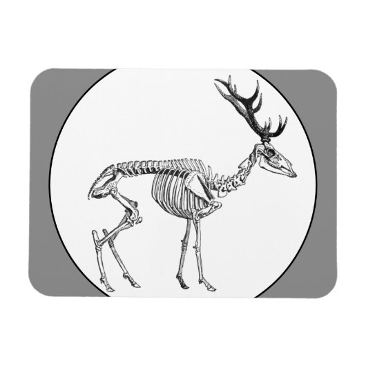 不気味ヴィンテージ骨格トナカイスケッチ マグネット (横)