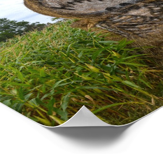 不気味干し俵 ポスター (角)