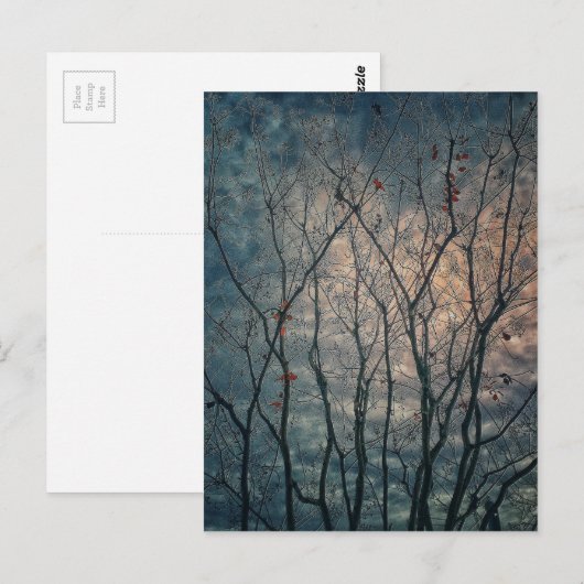 不気味木 ポストカード (正面/裏面)