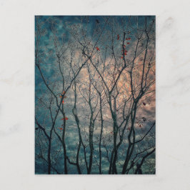 不気味木 ポストカード