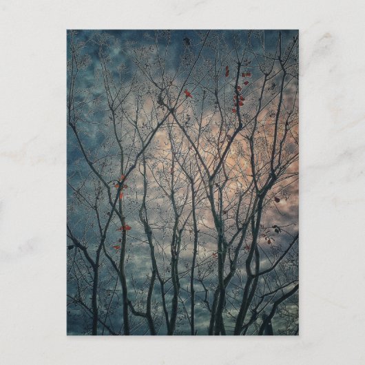 不気味木 ポストカード (正面)