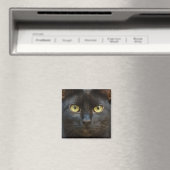 不気味猫 マグネット (インサイチュ (食洗機))