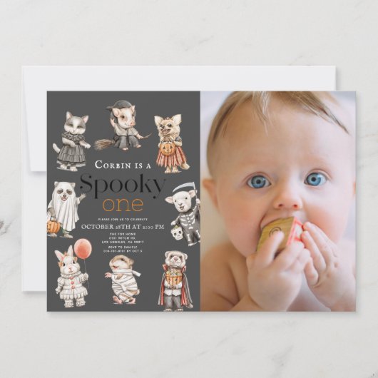 不気味1ハロウィン動物1日の誕生日の写真 招待状 (正面)