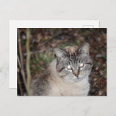 不気味 ポストカード (正面/裏面)