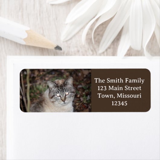 不気味 ラベル (インサイチュ)