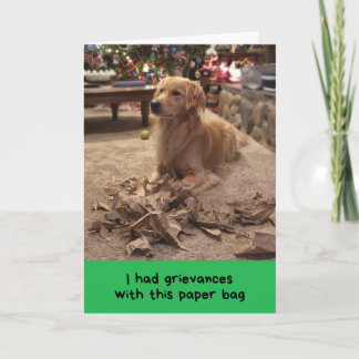 不満をぶつけるゴールデンレトリバー ホリデー カード