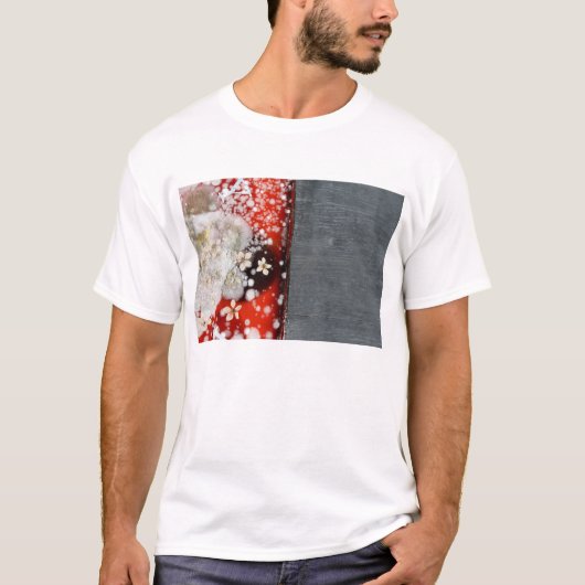 不滅2 Tシャツ (正面)