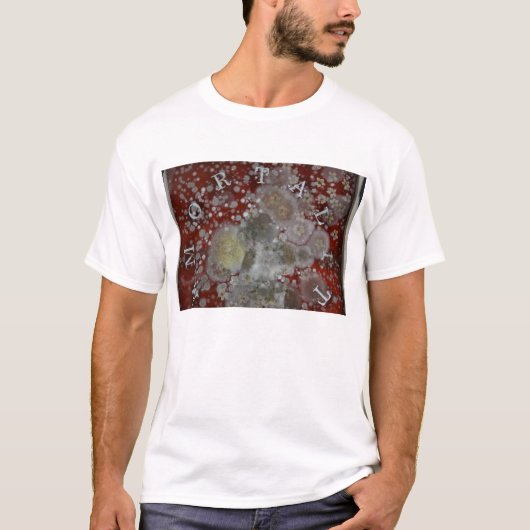 不滅 Tシャツ (正面)