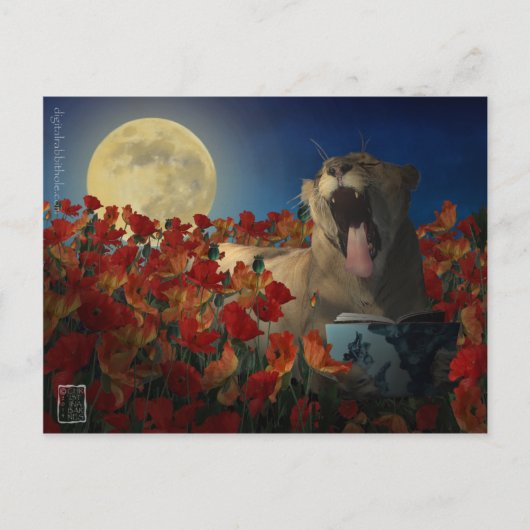 不眠 ポストカード (正面)