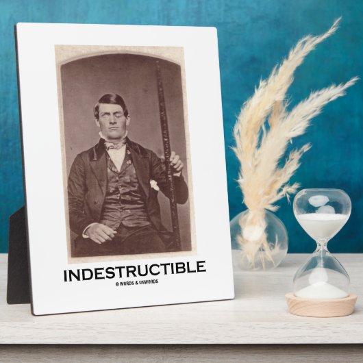 不破壊(フィニアスゲージ) フォトプラーク (側面)