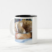 不精で眠いショウガ猫 ツートーンマグカップ (正面左)