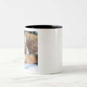 不精で眠いショウガ猫 ツートーンマグカップ (中央)