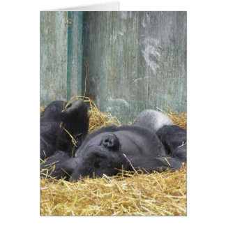 不精なゴリラカード