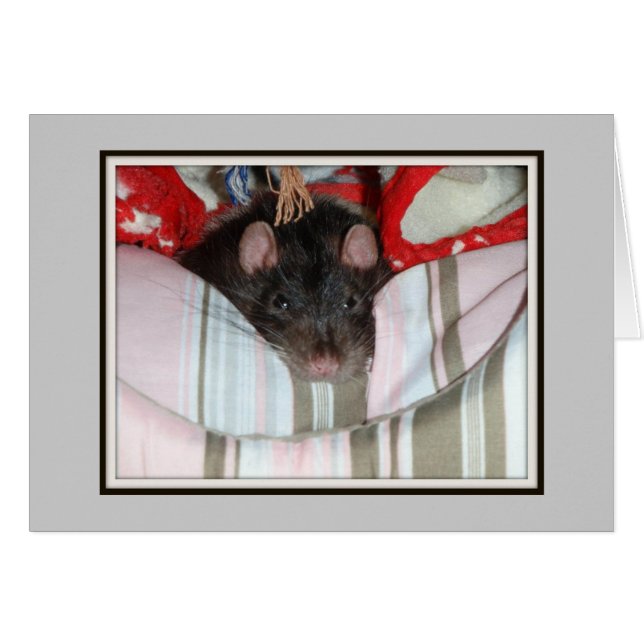 不精なマーリン (正面横)