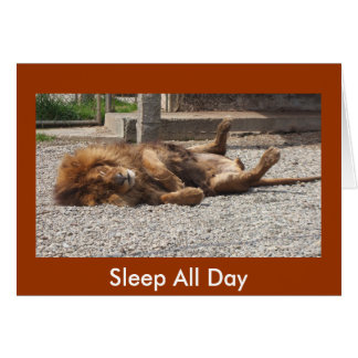 不精なライオン